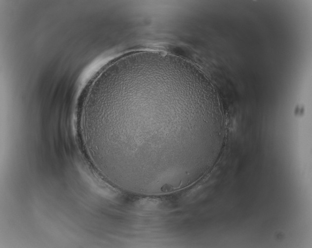 X0000113040294200908271512