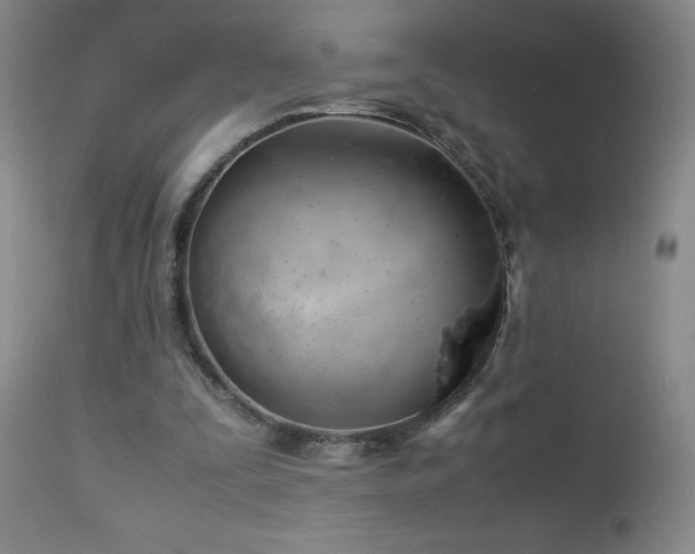 X0000113040295200908271512