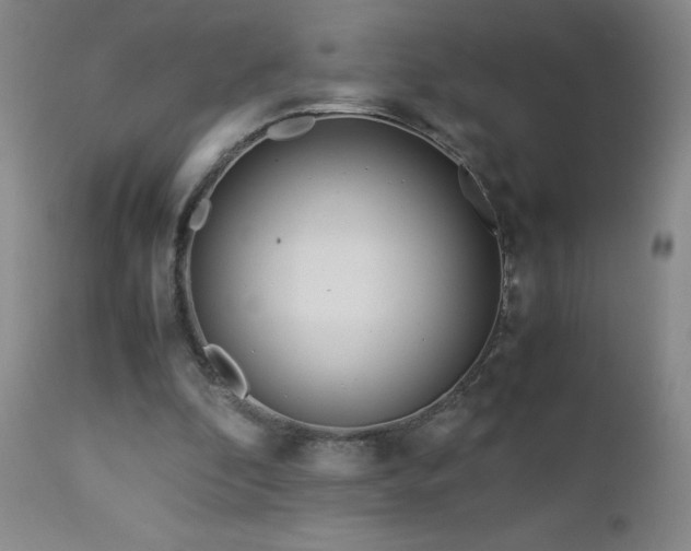 X0000113040296200908271512