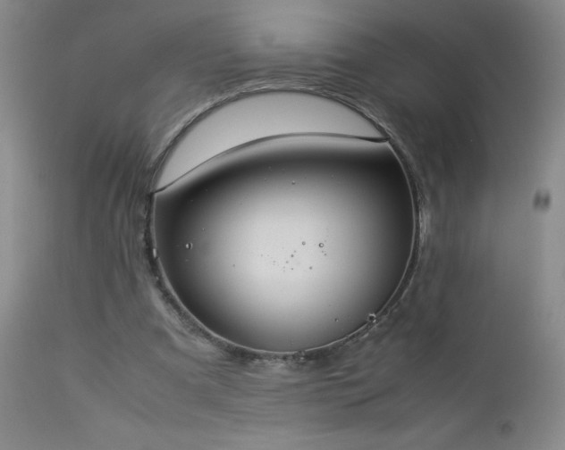 X0000113040297200908271512