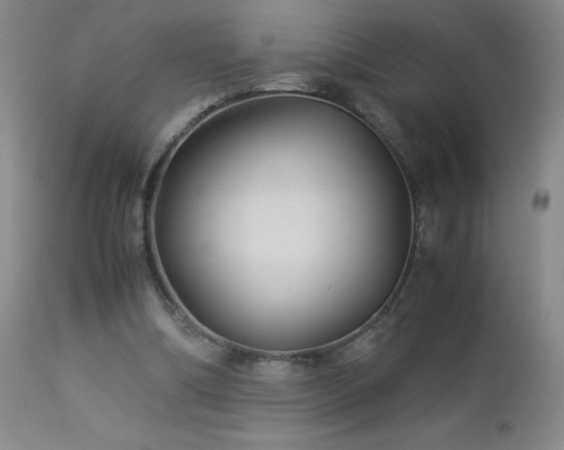 X0000113040298200908271512