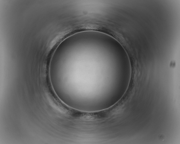 X0000113040299200908271512