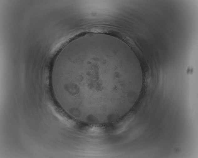 X0000113040303200908271512