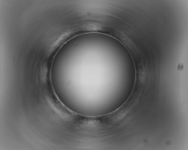 X0000113040304200908271512