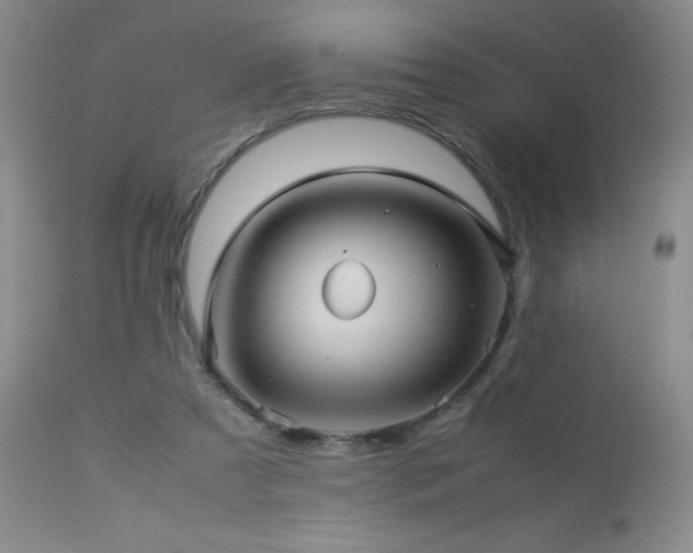 X0000113040305200908271512