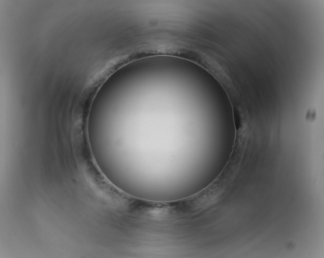 X0000113040306200908271512
