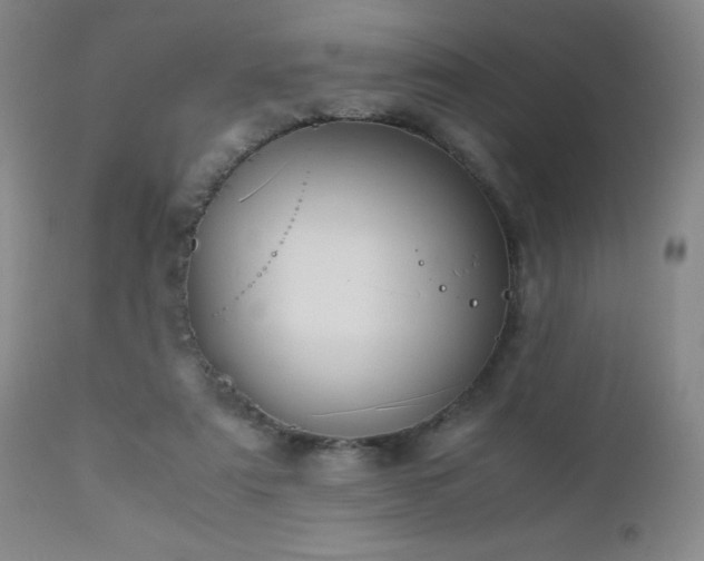 X0000113040307200908271512