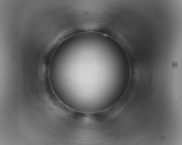 X0000113040308200908271512