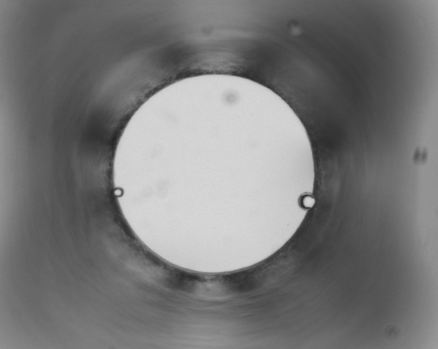 X0000113040309200908271512