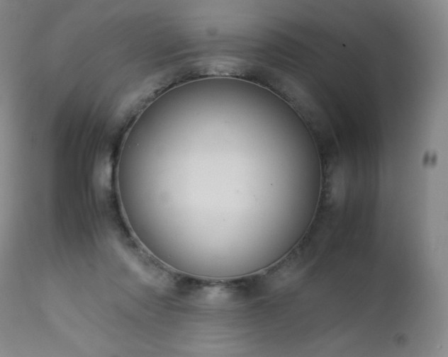 X0000113040310200908271512