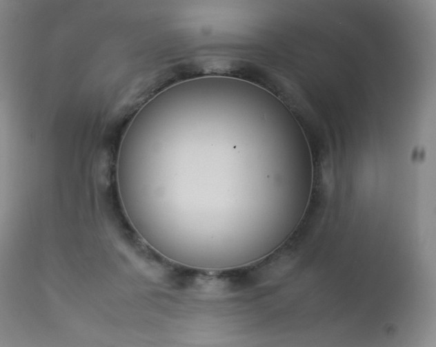 X0000113040311200908271512
