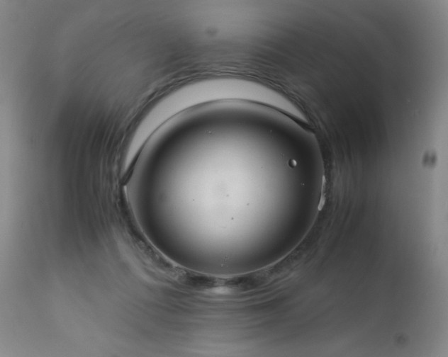 X0000113040312200908271512