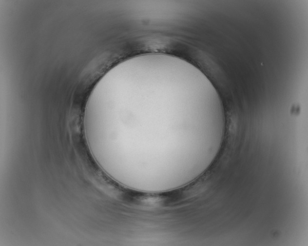 X0000113040313200908271512