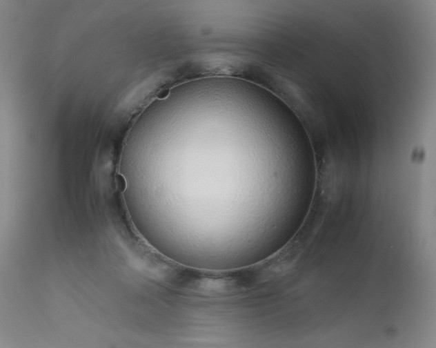 X0000113040314200908271512