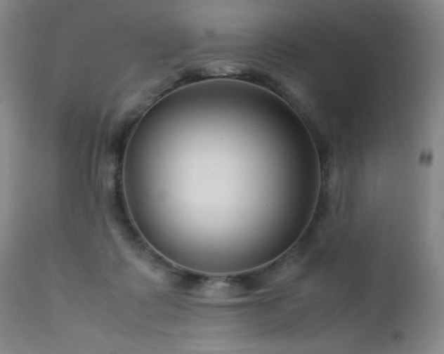 X0000113040315200908271512