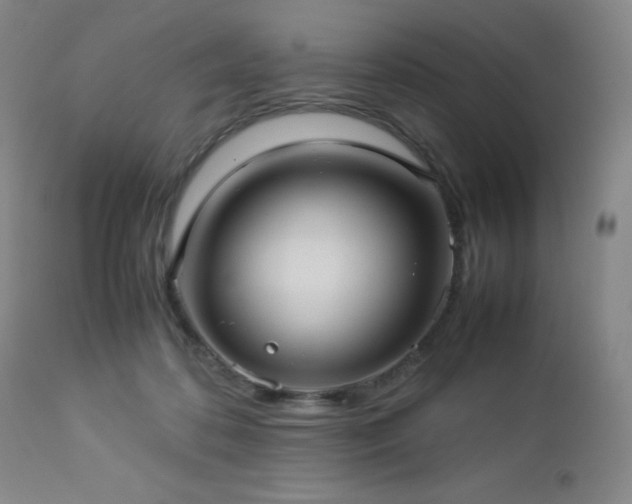 X0000113040316200908271512