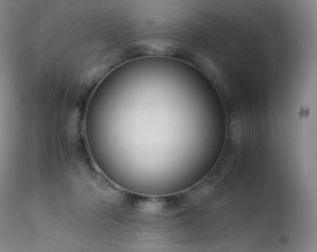 X0000113040318200908271512
