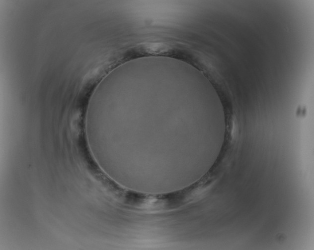 X0000113040319200908271512