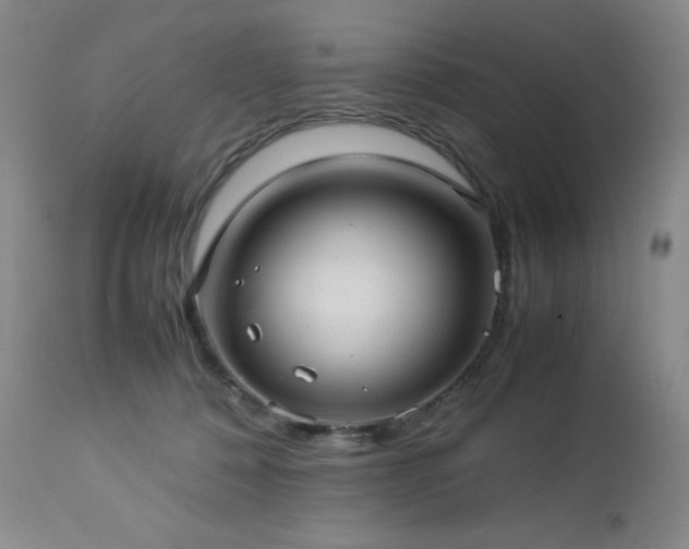X0000113040320200908271512