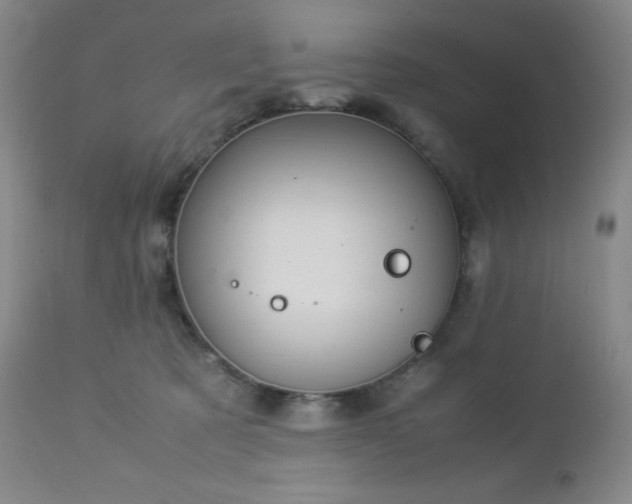 X0000113040321200908271512