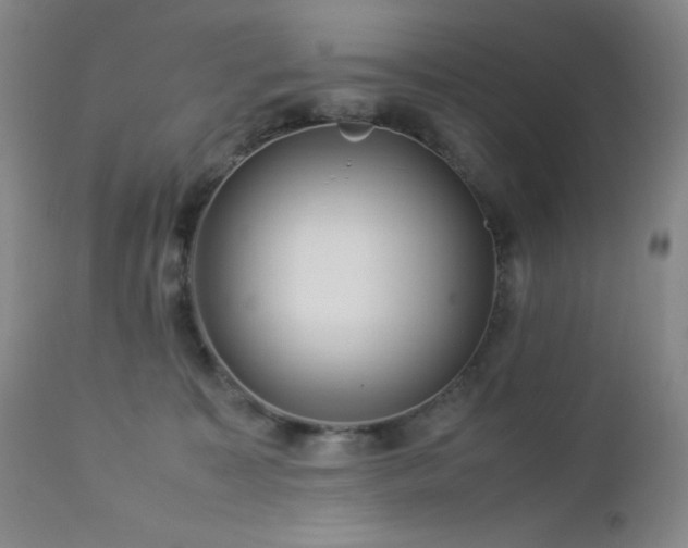X0000113040323200908271512