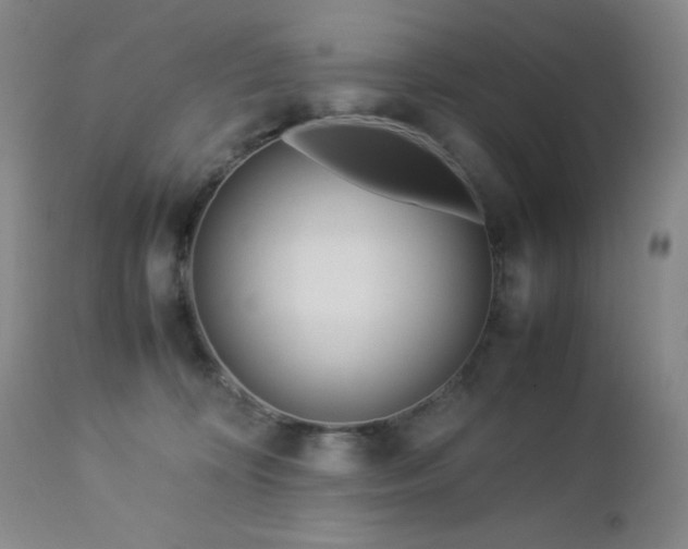 X0000113040324200908271512