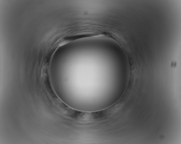 X0000113040325200908271512