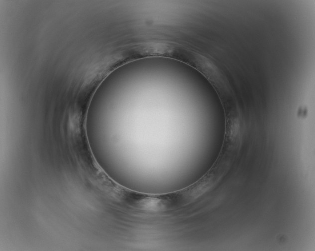 X0000113040326200908271512