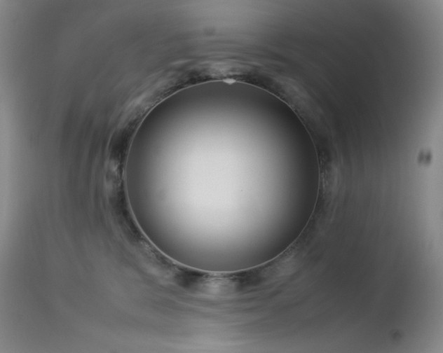 X0000113040327200908271512