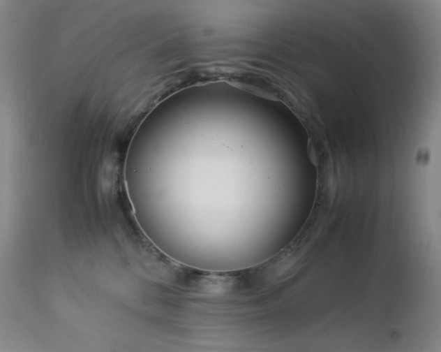 X0000113040328200908271512