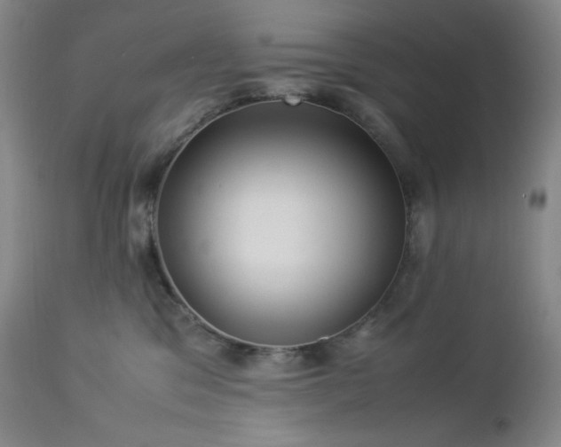 X0000113040329200908271512