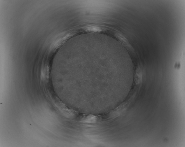 X0000113040330200908271512