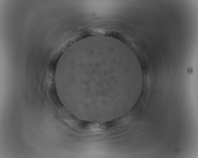 X0000113040331200908271512