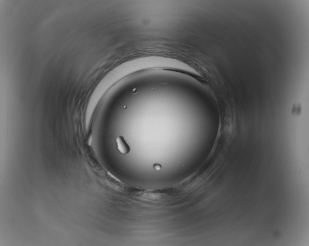 X0000113040332200908271512