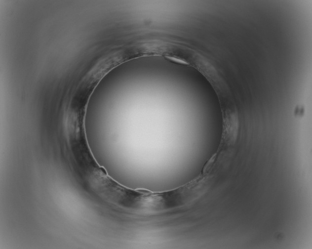 X0000113040333200908271512