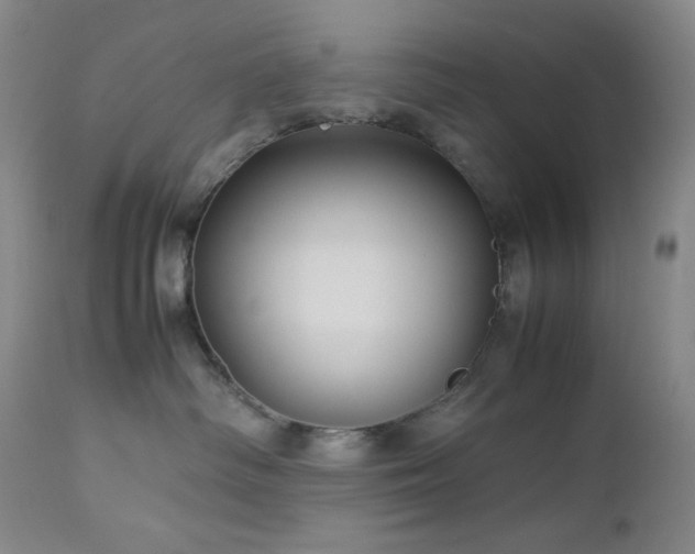 X0000113040334200908271512