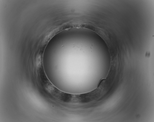 X0000113040335200908271512