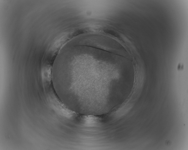 X0000113040336200908271512
