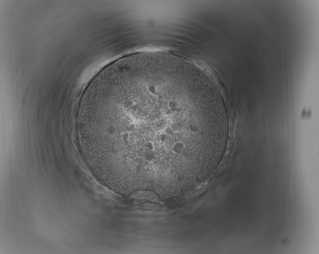 X0000113040337200908271511