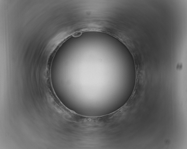 X0000113040338200908271511