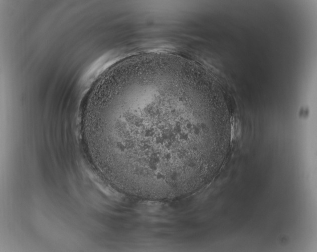 X0000113040339200908271511