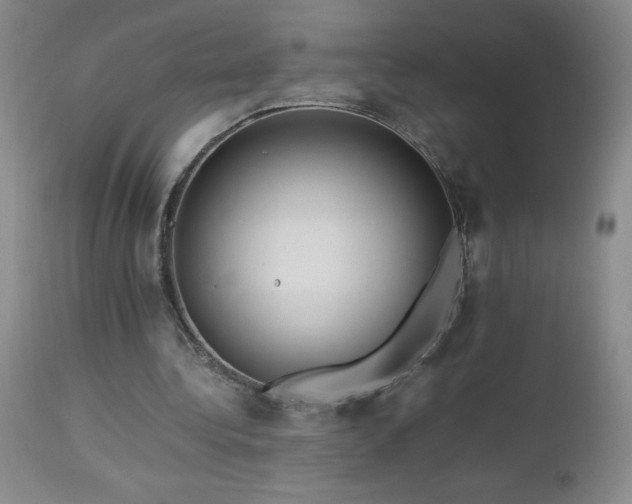 X0000113040340200908271511