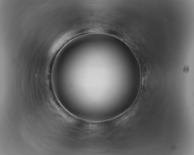X0000113040341200908271511