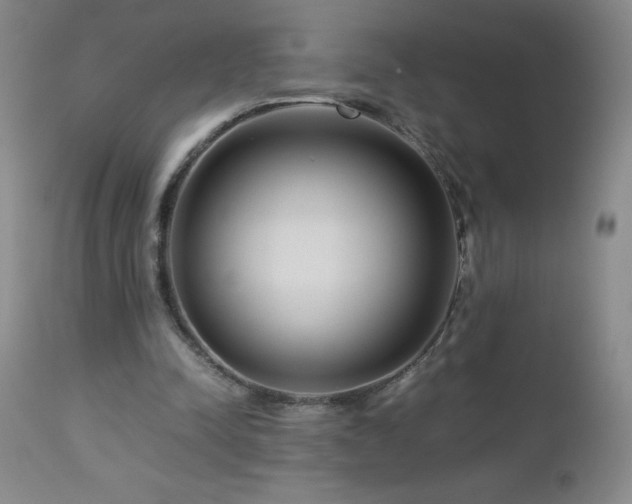 X0000113040342200908271511