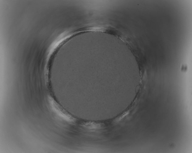 X0000113040343200908271511