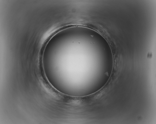 X0000113040344200908271511