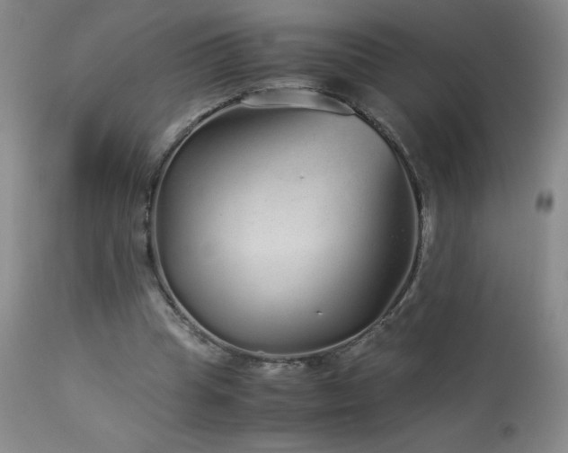 X0000113040345200908271511