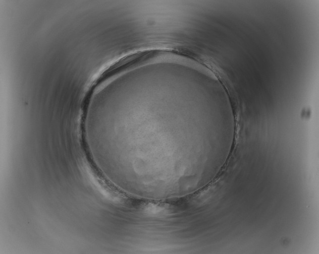 X0000113040346200908271511