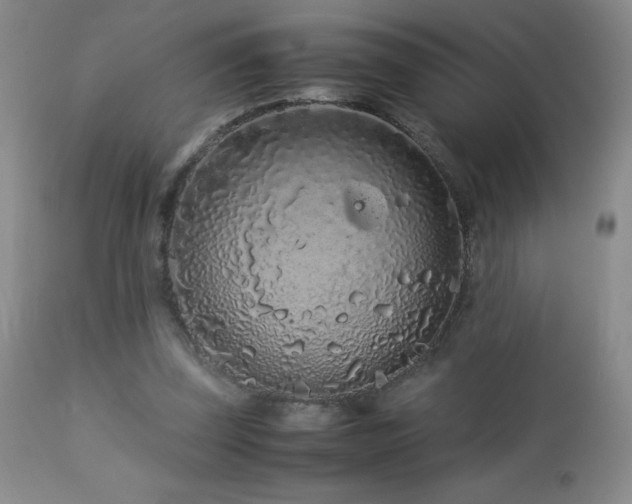 X0000113040347200908271511