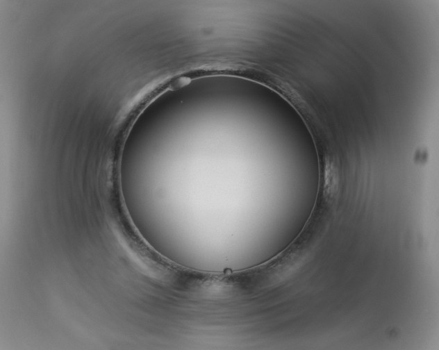 X0000113040348200908271511